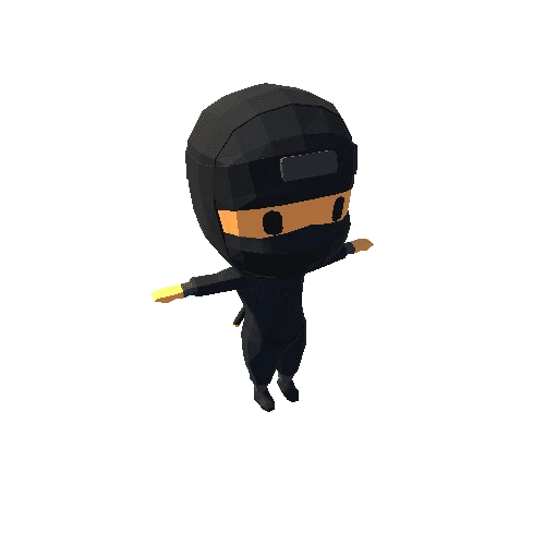 Ninja Character